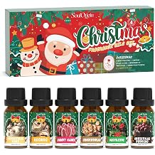 Soulorigin Christmas Essential Oils Set, Fragrance Oil Set for Diffuser, Scent Diffuser Oil for Candle Making-Christmas Cake, Eggnog, Candy Canes, Gingerbread, Mistletoe, Christmas Pudding