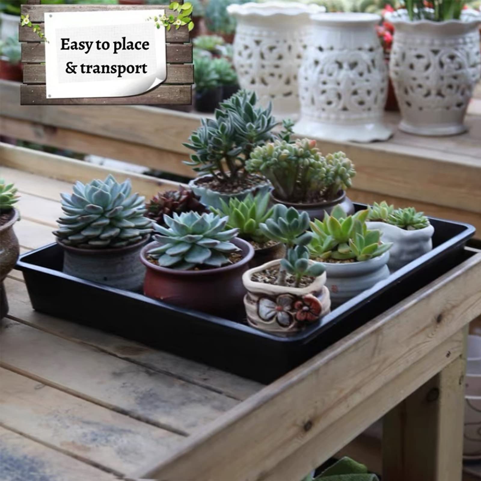 BeGrit 5 Stück Keimschalen für Sprossen Pflanzschale schwarz Anzuchtkasten für Pflanzen (37 x 30 x 7.5cm) Mit Wasserwanne für Mircogreen Setzlinge Sukkulenten Gewächshaus