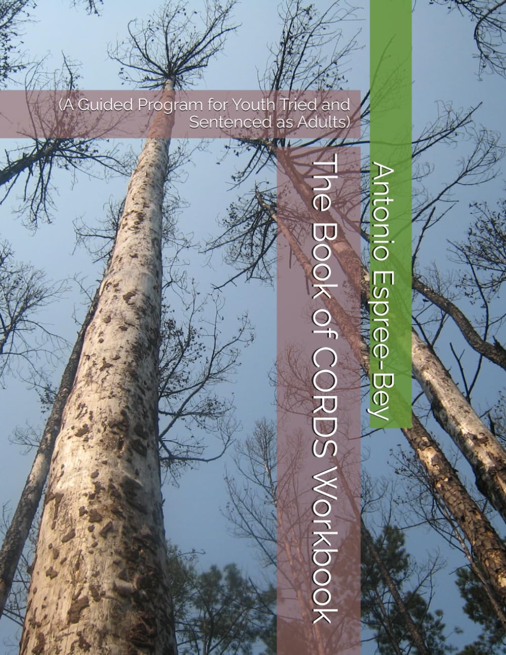 The Book of CORDS Workbook: (A Guided Program for Youth Tried and Sentenced as Adults)
