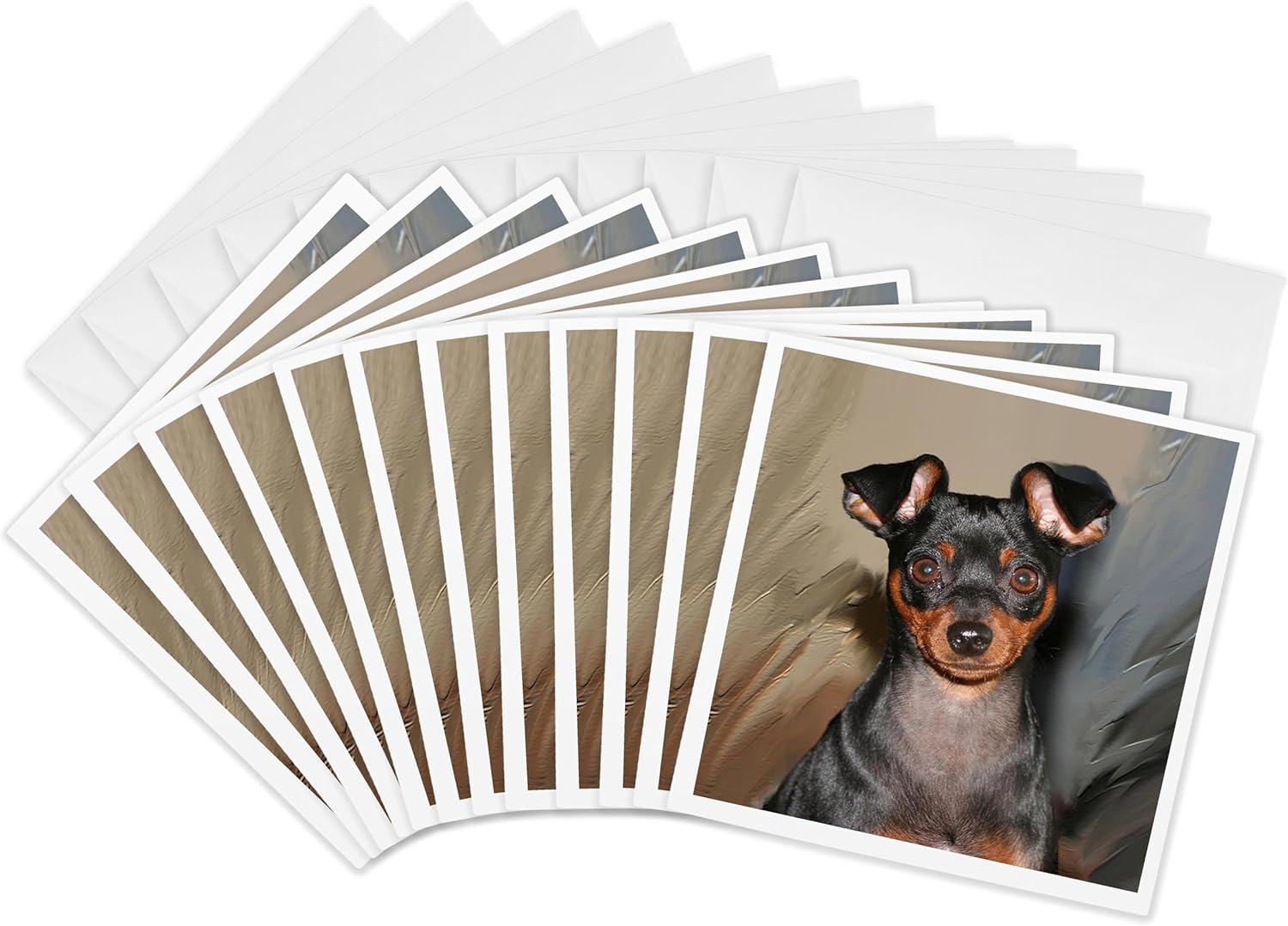 3dRose Miniature Pinscher - Greeting Cards, 6 x 6 inches, set of 12 (gc_4555_2)