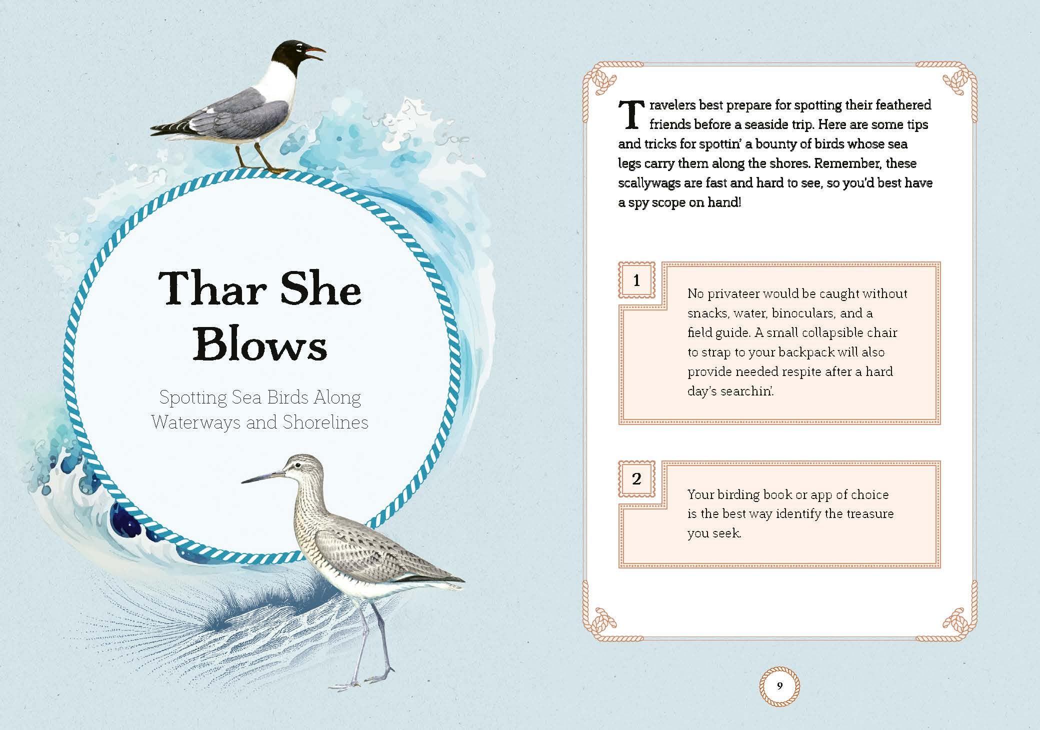 Sea Bird: Explore the Charming Oceanside Song of Our Shoreline Feathered Friends - Image 4