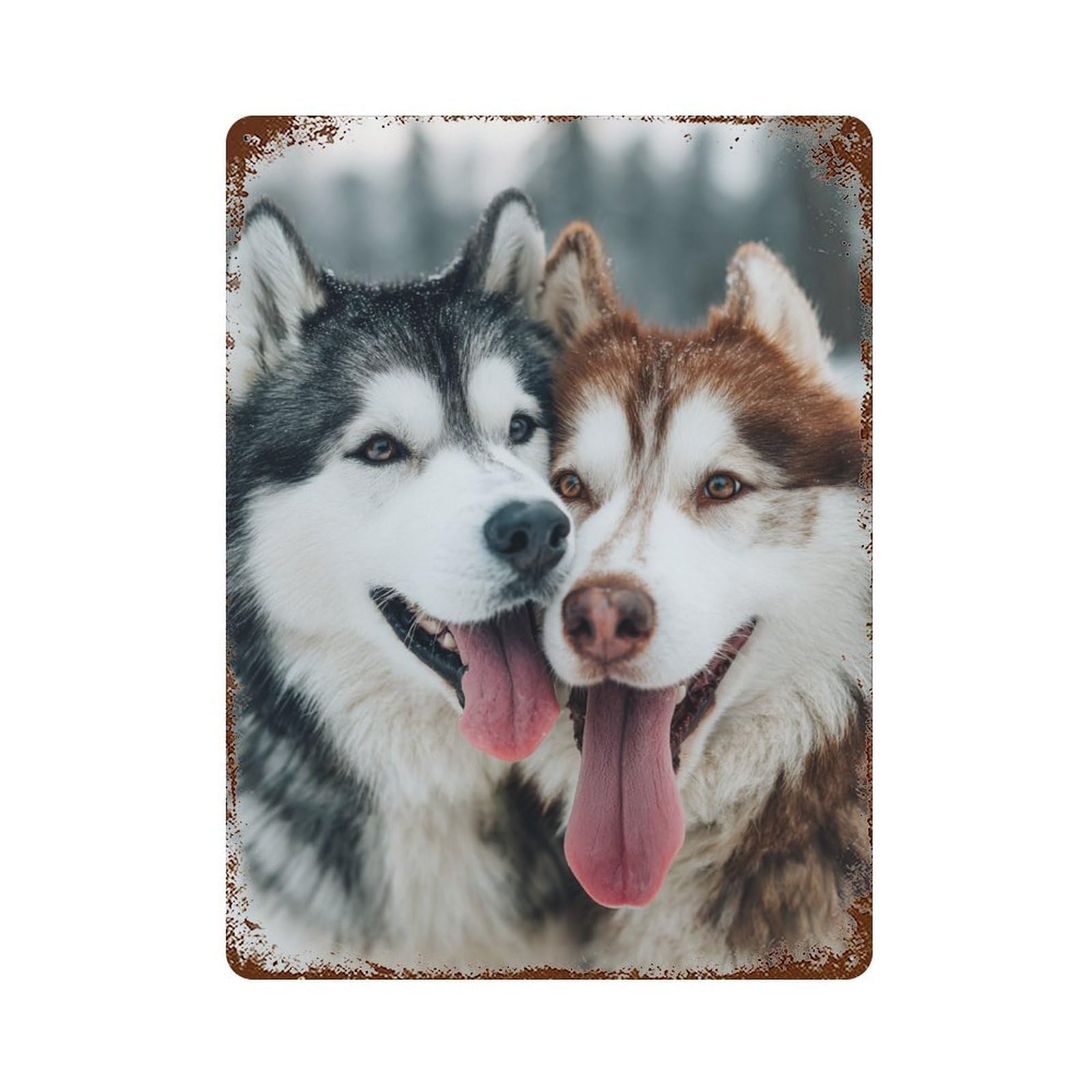 Snowy Husky Pair Rust Effect Tin Sign 15.7"x11.8", Vintage Wall Decor for Bistro, Counter And Cafe Decor