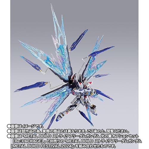L BUILD FESTIVAL 2024セット＆光の翼 Amazon.com: BANDAI SPIRITS Destiny Gundam (Full Package) [Metal