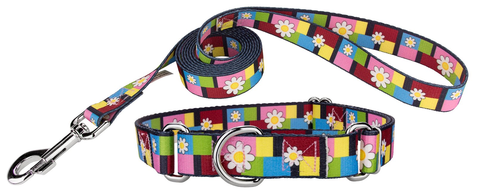 Country Brook Petz - Spring Daisies Martingale Dog Collar and Leash - Floral Collection with 8 Charming Designs (1 Inch, Large)