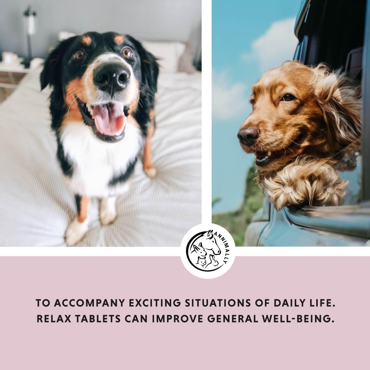 Annimally Dog Calming Tablets, Calming Supplement with Valerian & L-Tryptophan, Supports Relaxation, Stress & Anxiety - Image 3