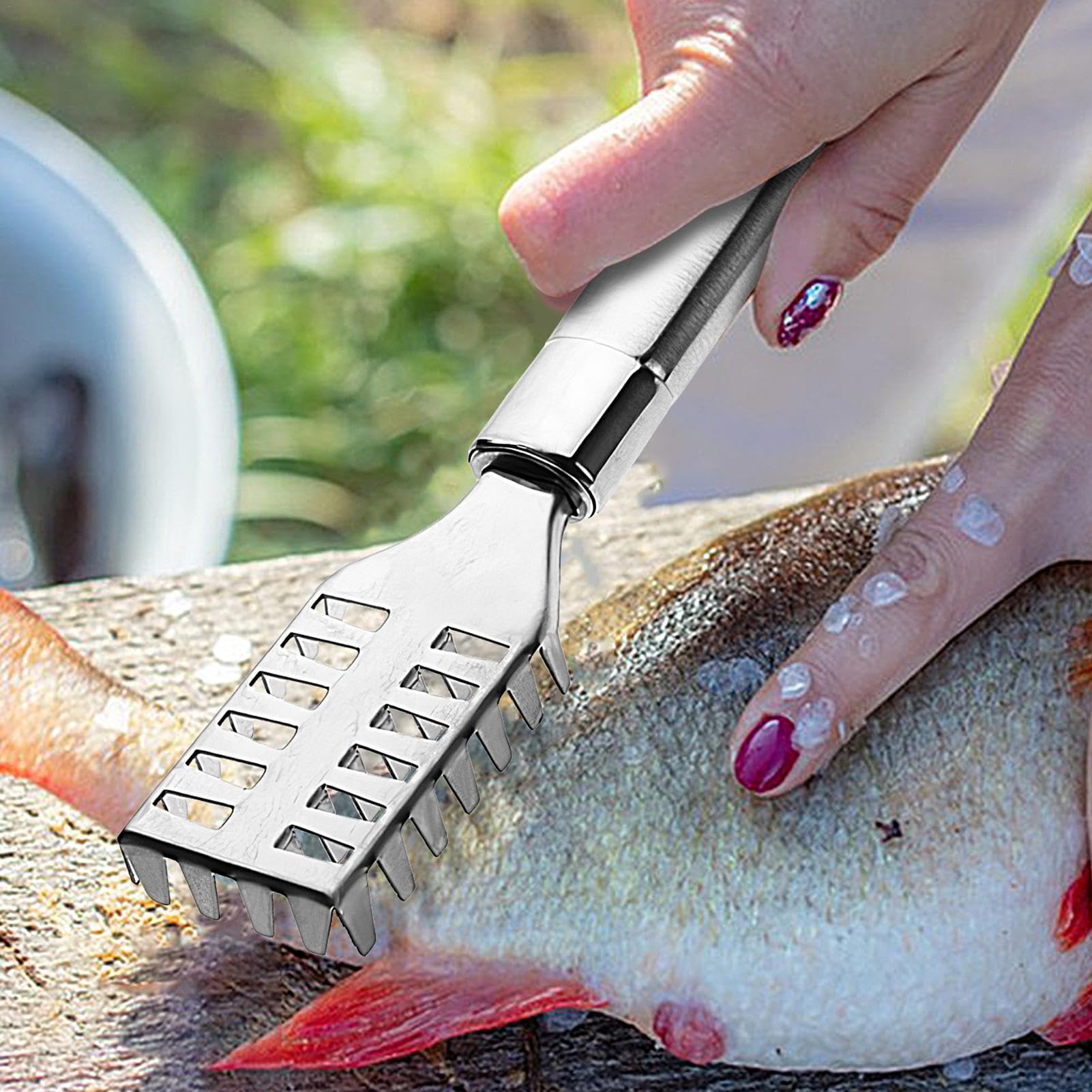 Kit 4 Pezzi Per Pulizia Pesce - Squamatore In Acciaio Inox, Raschietto E Apribottiglie, Per Cucina Professionale E Domestica - Foto 6