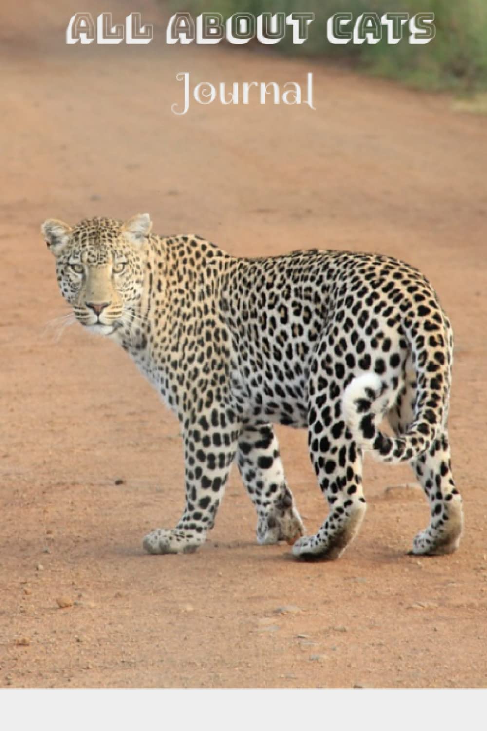 All About Cats: wild Safari