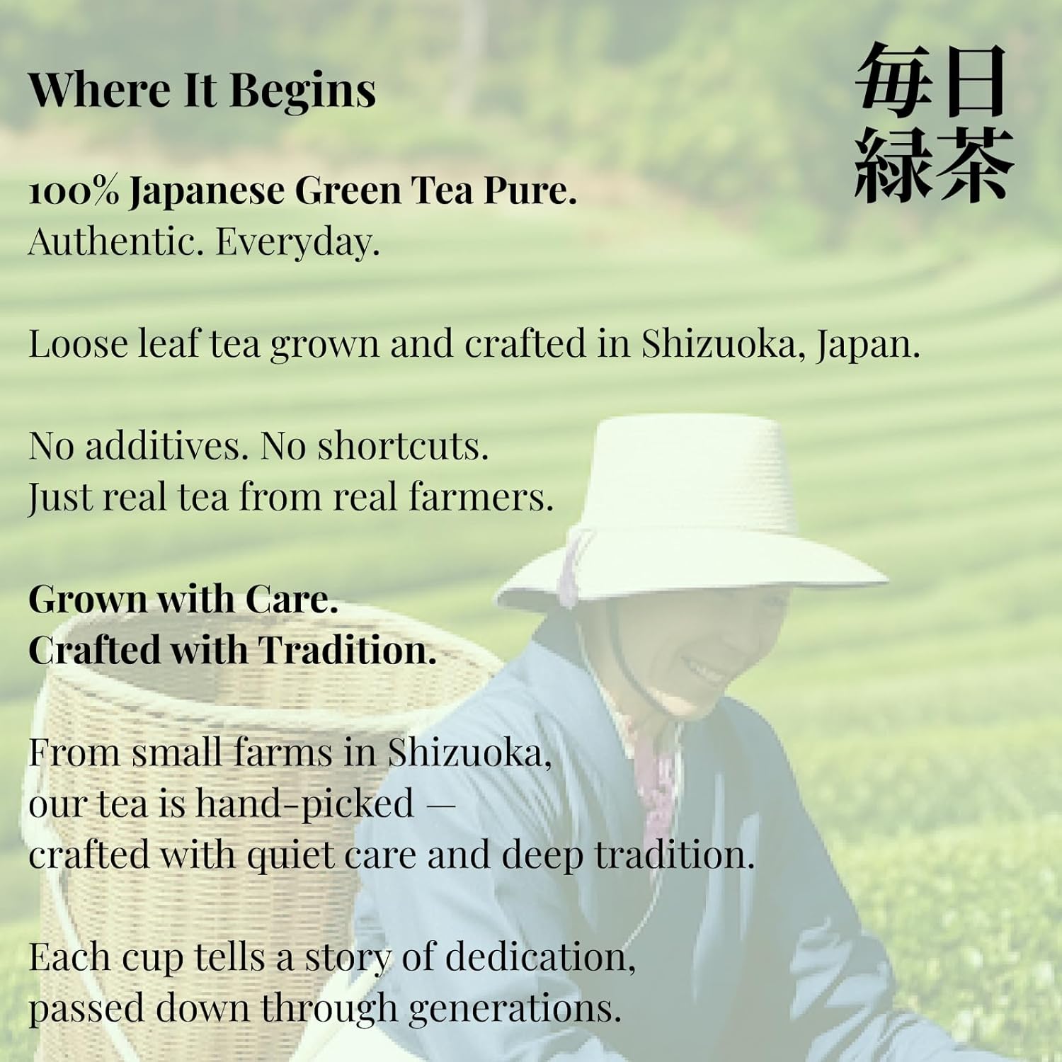 Japanese Bancha Green Tea Loose Leaf – Mild Flavor, Low Caffeine, High in Catechins – 100% Japanese Tea Leaves, No Additives, Eco-Friendly Packaging (100g / 3.5oz) 毎日緑茶