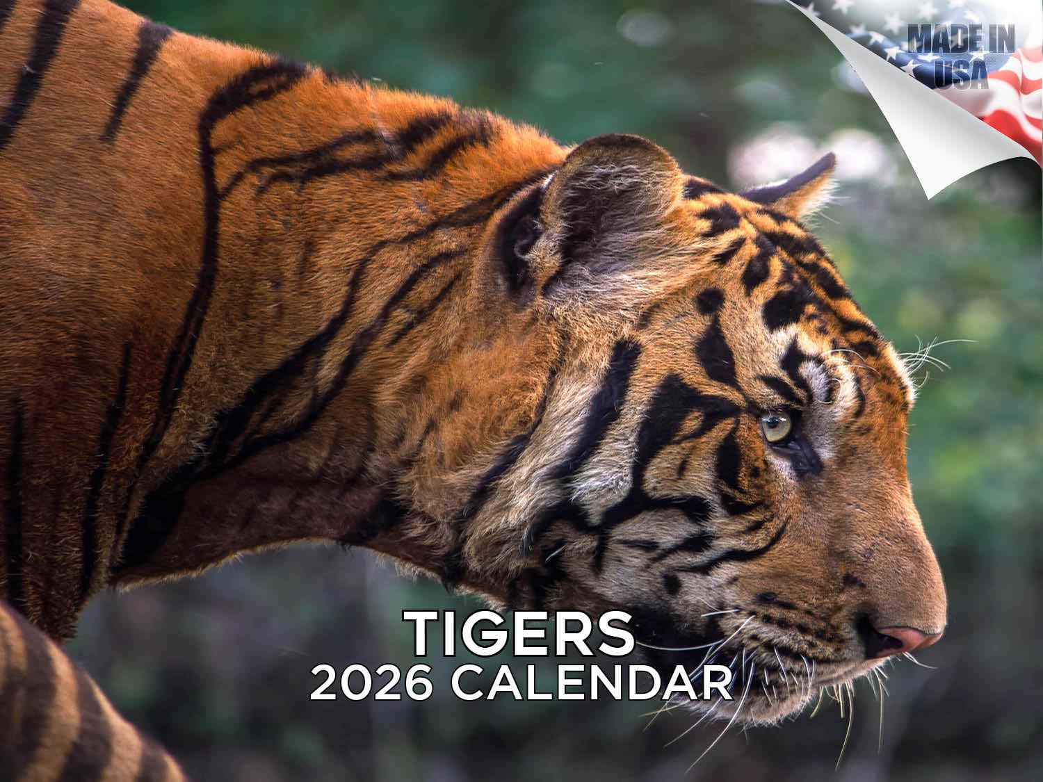 2025 2026 Tigers Calendar - African Wildlife Monthsly Wall Calendar - 12" x 18" Open - Thick No-Bleed Paper - Giftable - Academic Teacher's Planner Calendar Organizing & Planning - Made in USA โ image 1