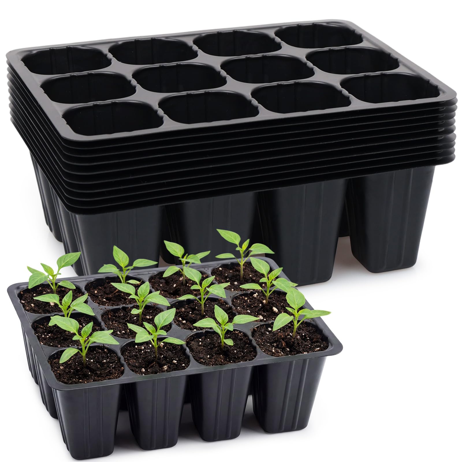 plateau de germination 120 cellules