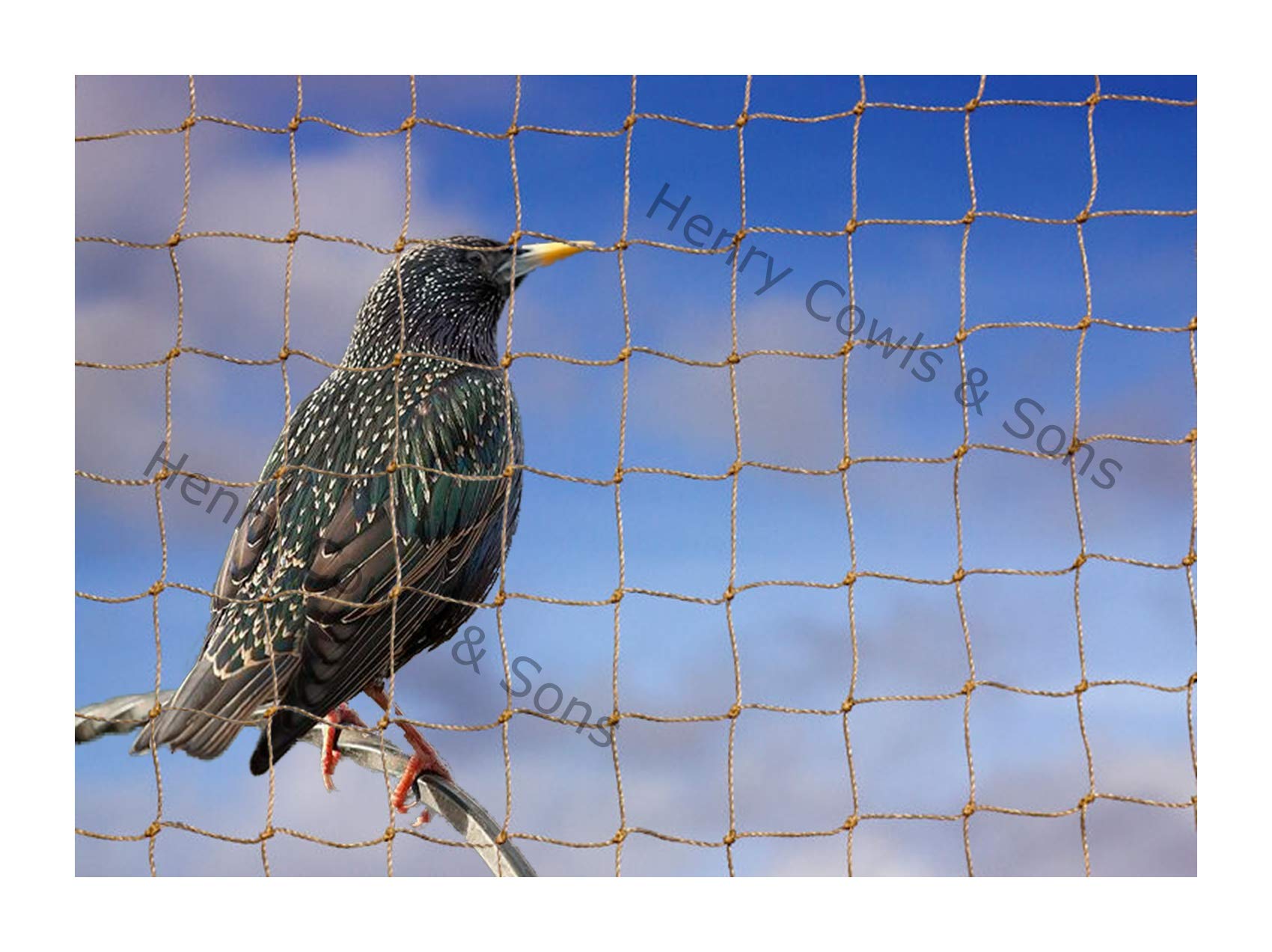 Bird Netting For the Garden 15m x 15m 28mm Anti Starling Knotted 1 1/8" Mesh Heavy Duty Stone Net