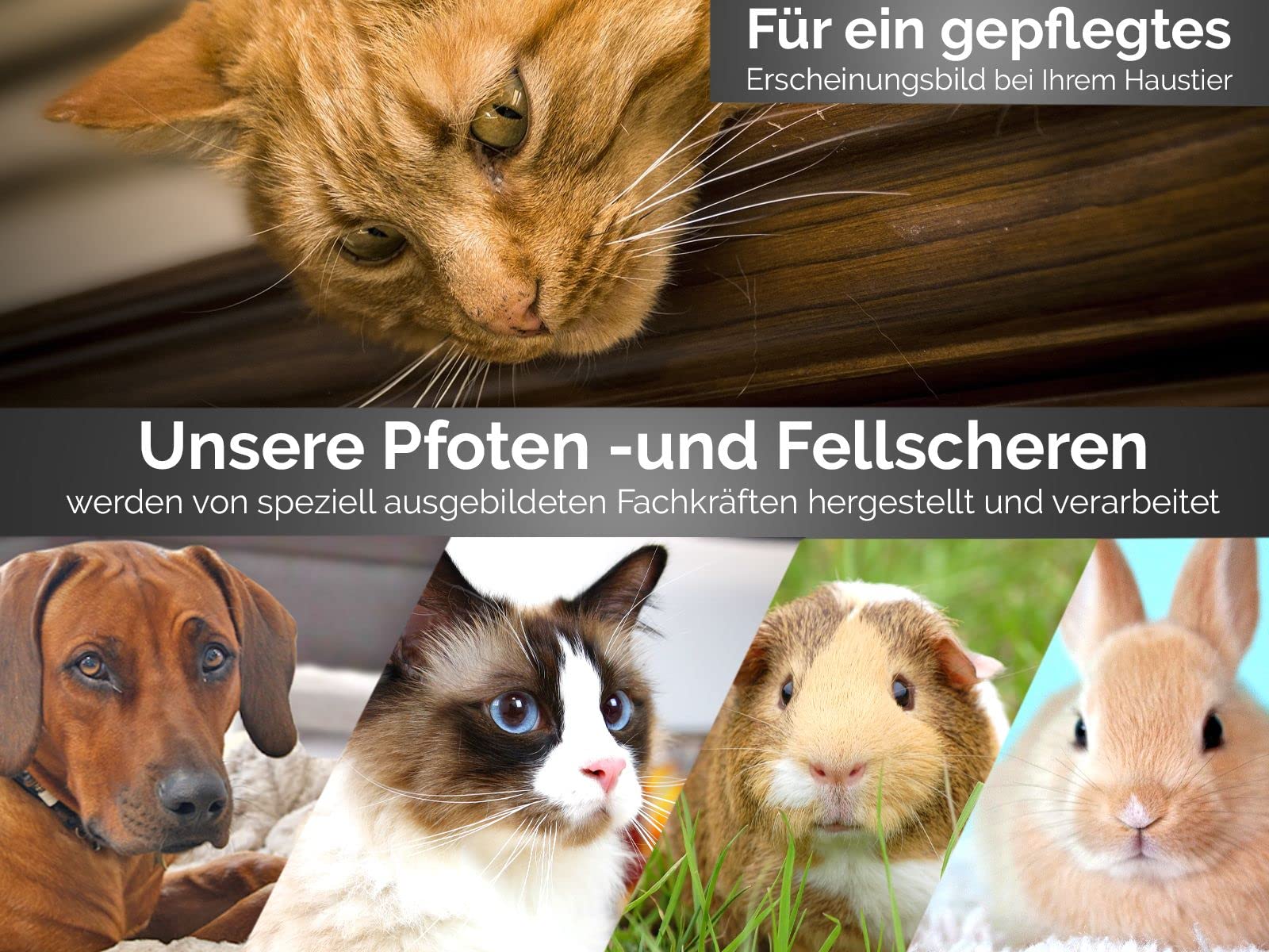 Fellschere aus Solingen Hunde Haarschere Pfotenschere mit einseitiger Mikroverzahnung Made in Germany Hundeschere mit gebogener Schnittfläche für die Fellpflege von Hunden Katzen Haustieren (11,7 cm)
