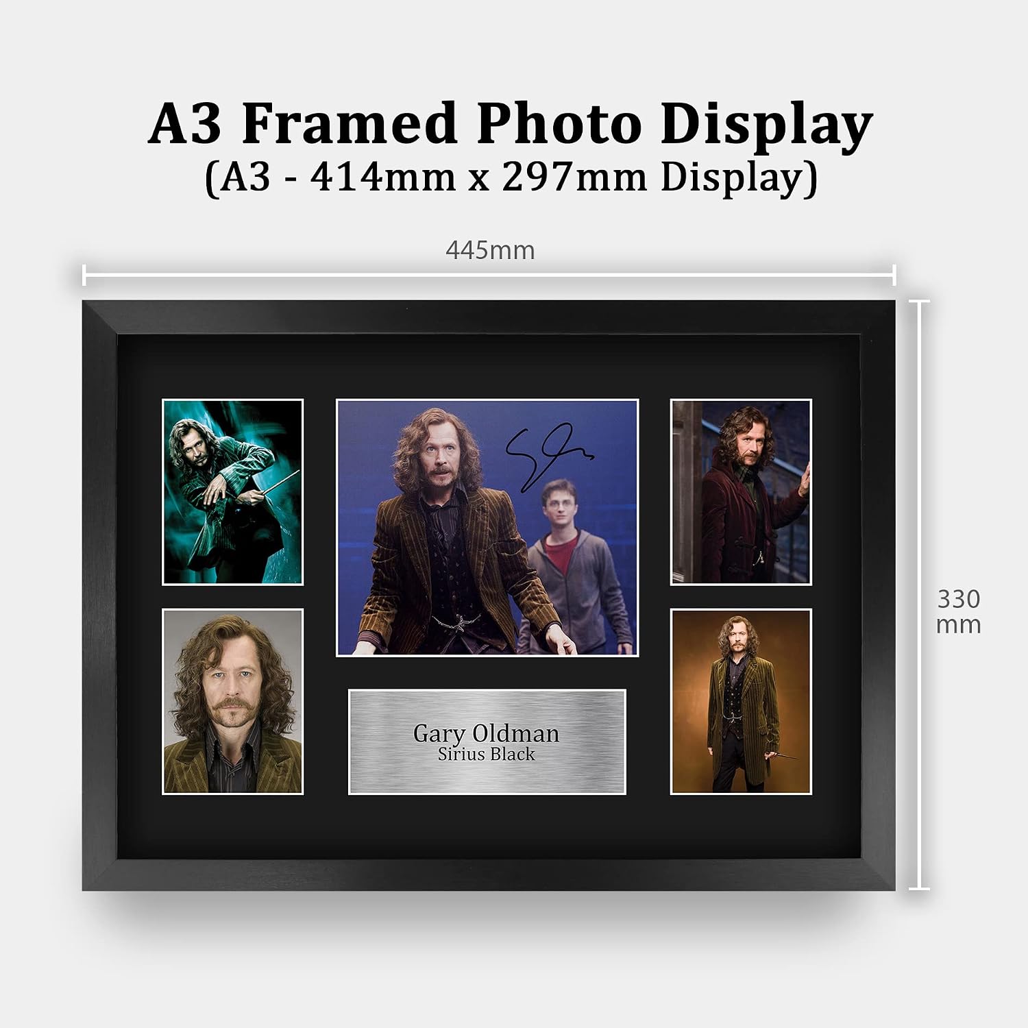 HWC Trading Gary Oldman Harry Potter Sirius Black 16 x 12 inch (A3) Printed Gifts Signed Autograph Picture Display for Movie Memorabilia Fans - 16" x 12" Framed