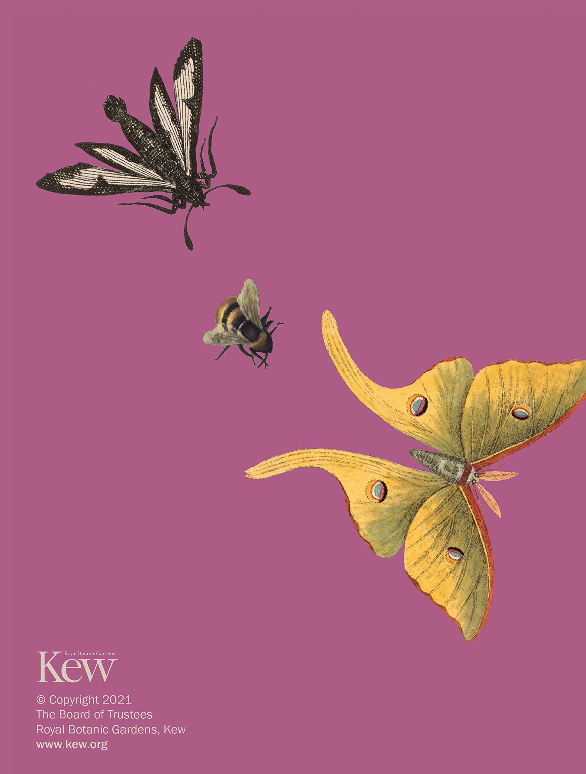 Royal Botanic Gardens Kew Deluxe A5 Diary 2022 - Image 2