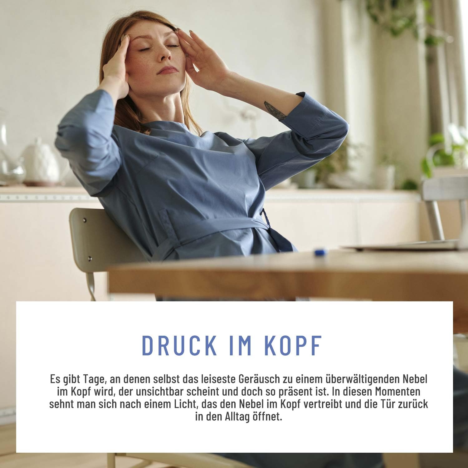NATURTREU® Nebellicht - Mutterkraut Komplex hochdosiert 1260 mg pro Tag - Komplex mit Ingwer, Magnesium, Coenzym Q10 & Vitamin B2 - natürlich und vegan