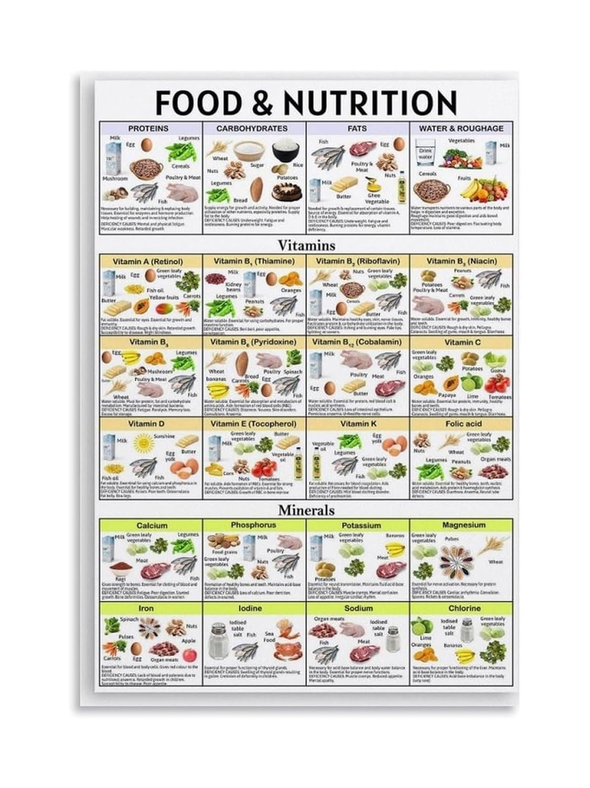 EKFBQBGW Healthy Food Groups Poster, Nutritional Guide for Dietitians & Nutritionists, Professional Office Decor, Clinic Wall-Art(Unframed,08X12inch(20X30cm))