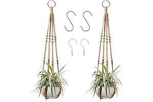 Augshy Hanging Plant Holders Outdoor: A Symphony of Verdant Beauty