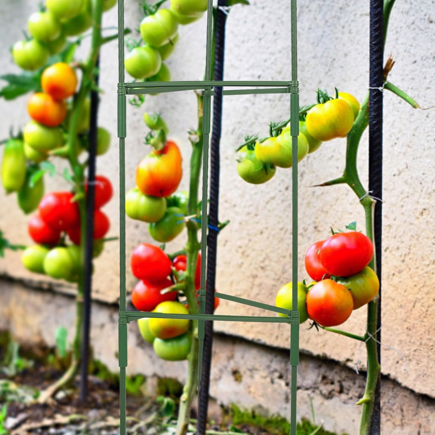 Veemoon 3 Sets Tomato Plant Trellis Climbing Support Frame for Garden and Patio, Triangle Shape 27 Rods, 27 Connecting Bars, and 18 Connectors for Vegetable and Flower Vines