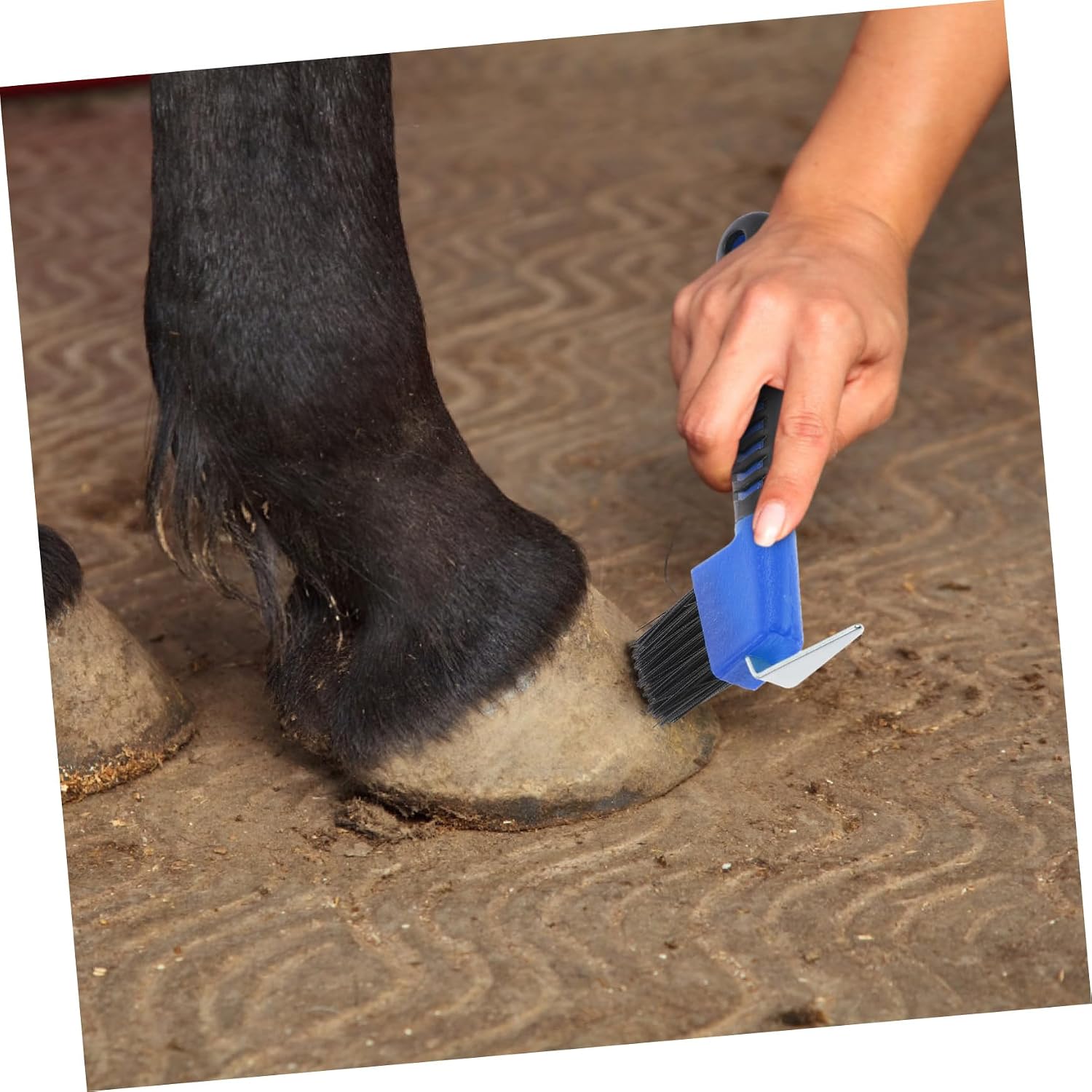 3pcs Grip Hoof Rubber Hoof Brush for Horse Grooming and Brush Comfortable Grip for Cleaning Random