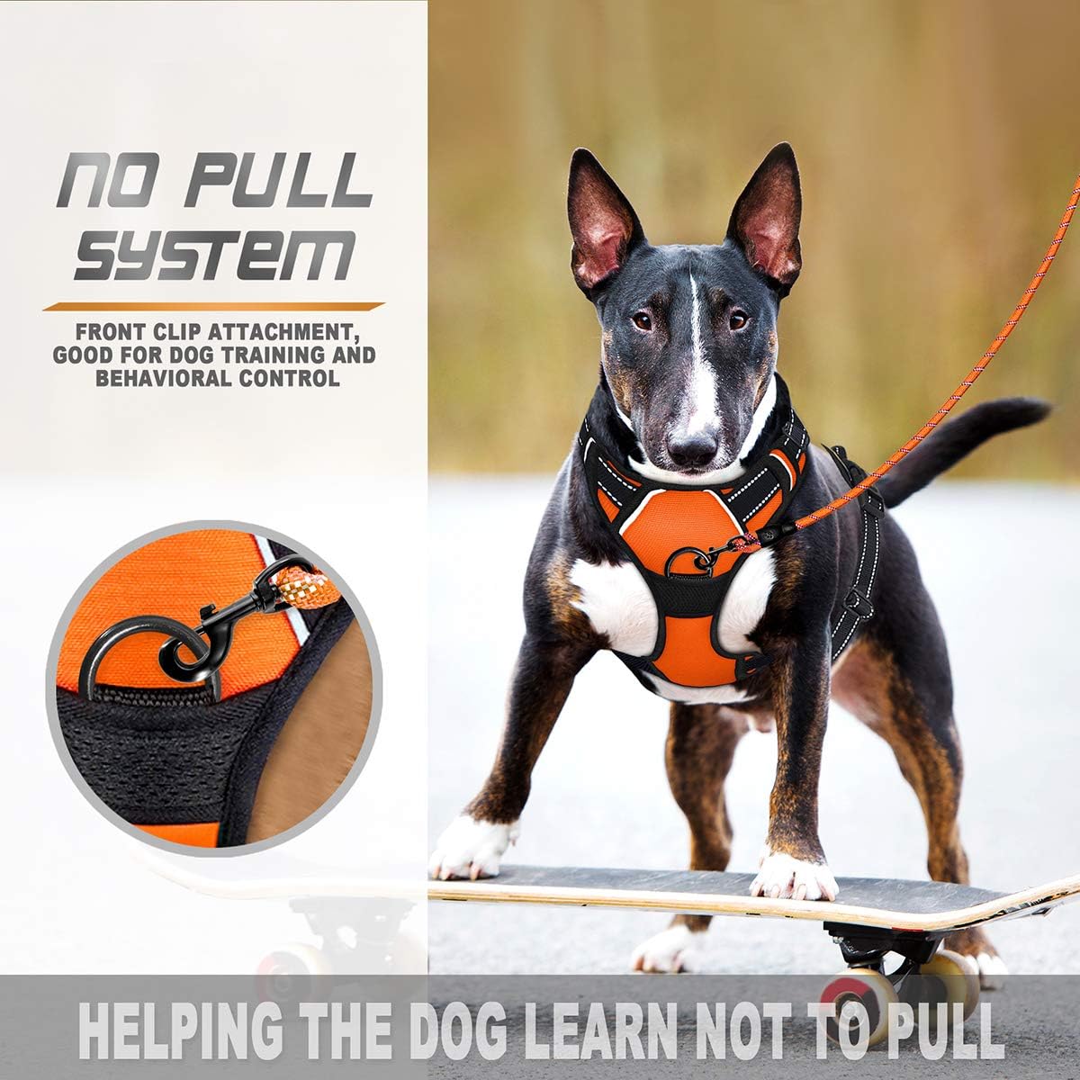 barkbay harness