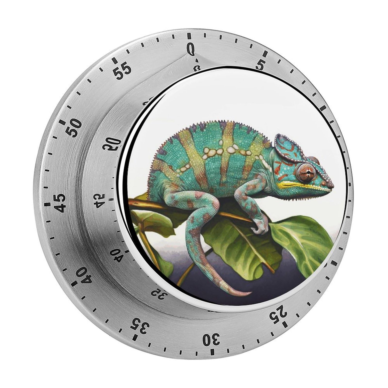 Chameleon Printed Waterproof Christmas Timer with Loud Alarm Outdoor Timer for Cooking Exercise Baking