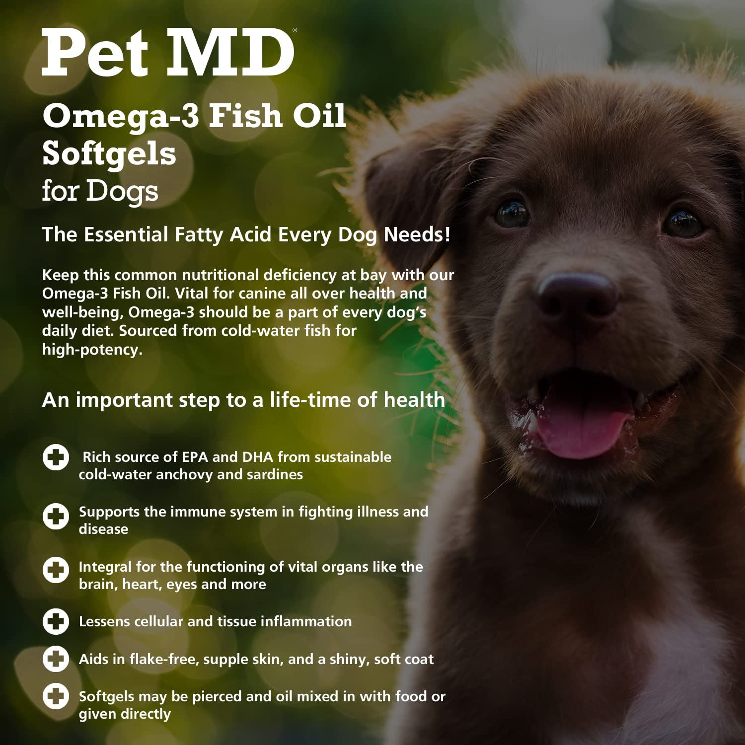 How Much Omega 3 Do You Give A Dog