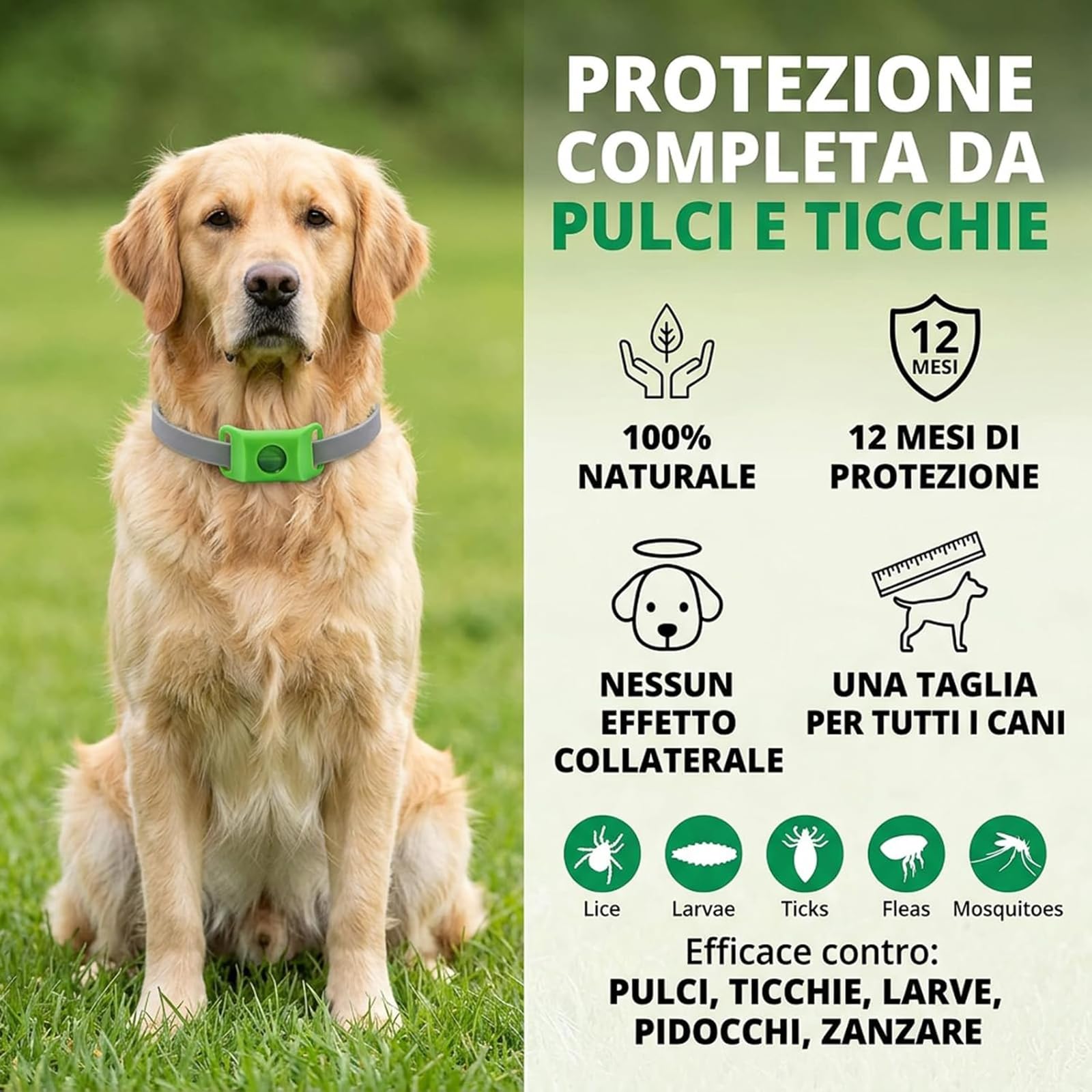 ZVD Collare Antiparassitario Naturale,Collari Antiparassitari per Cani,Ciondolo Repellente per Pulci e Zecche per Cani,Ingredienti 100% Naturali,Protegge da Pulci e Zecche (Grigio)