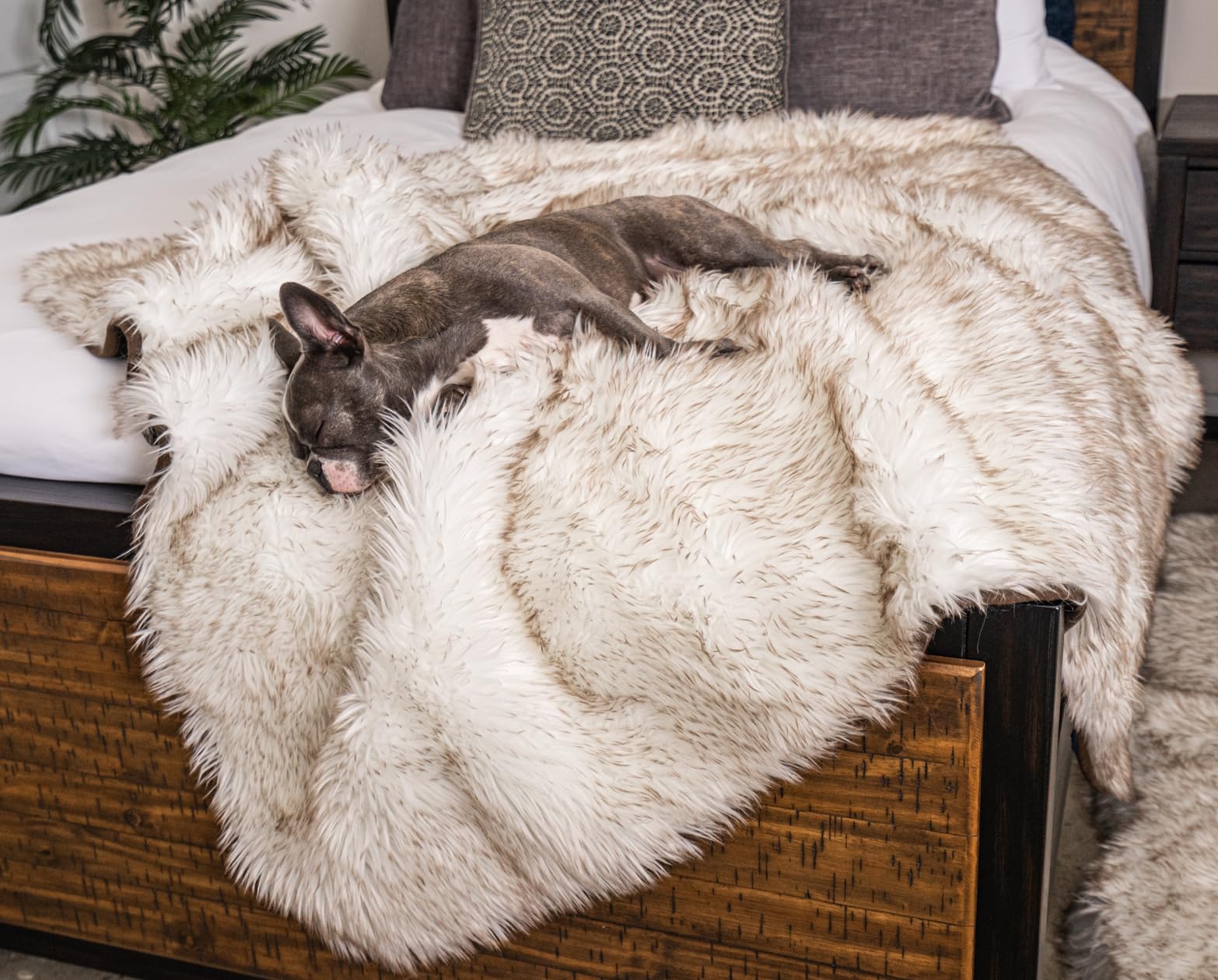 PupProtector Waterproof Throw Blanket for Dogs and Cats, Pet Blanket Cover For Couches, Sofas, Beds, Car Seats, Furniture, Calming Soft Faux Fur, White with Brown Accents, Original (60" L x 50" W) โ image 1
