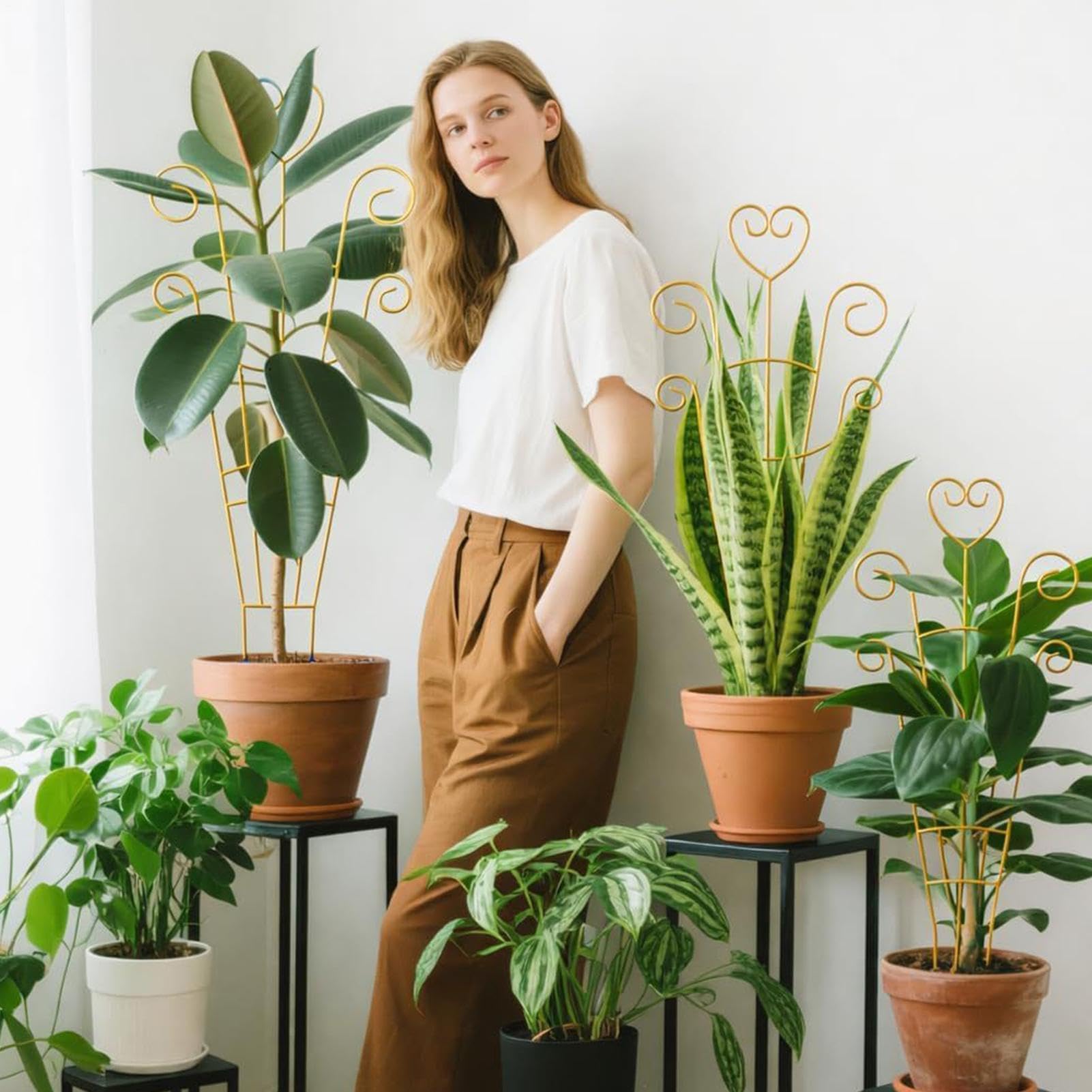 Tuteur en métal pour plantes grimpantes