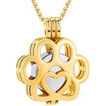 Oinsi Pet Cremation Jewelry For Ashes For Dog/Cat Paw Stainless Steel Memorial Locket Urn Necklace Inside Mini Case Keepsake Cremation Jewelry Women Men