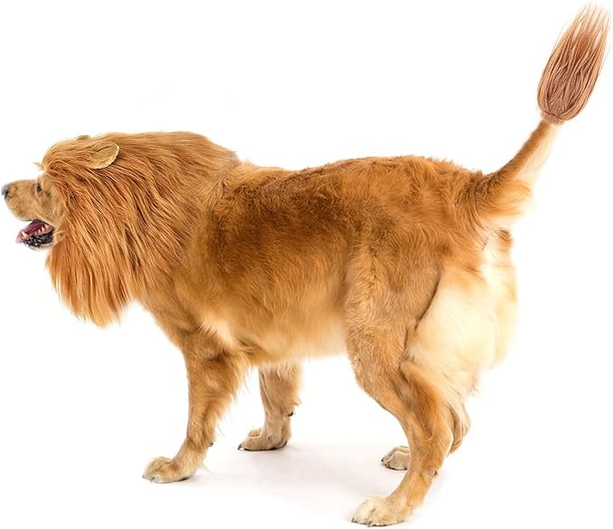 Disfraz de León para Perro Tamaño S con Cola - HOKABLE miniatura 6