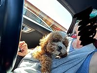 Review Image by Laurie Laurie