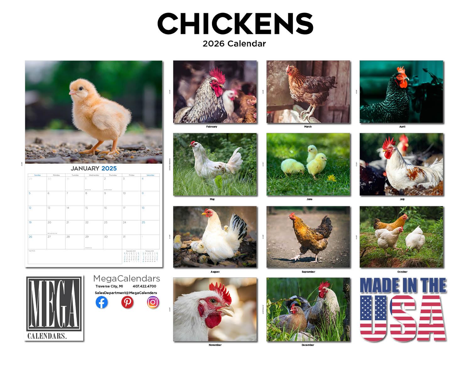 Calendario 2024 2025 de pollos – Bonito calendario mensual de pared de animales de granja – 12 x 18 pulgadas abierto – Papel grueso que no se corre – Regalo – Planificador académico para profesores,