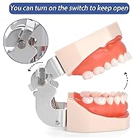 Vista 3 de ZENFUN Modelo de Typodont dental estándar, modelo de dientes de demostración, modelo dental con 28 piezas de dientes extraíbles atornillables