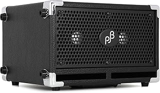 Phil Jones Bass BG-120 Bass Cub Pro 2 x 5-inch 120-watt Bass Combo Amplifier - Black