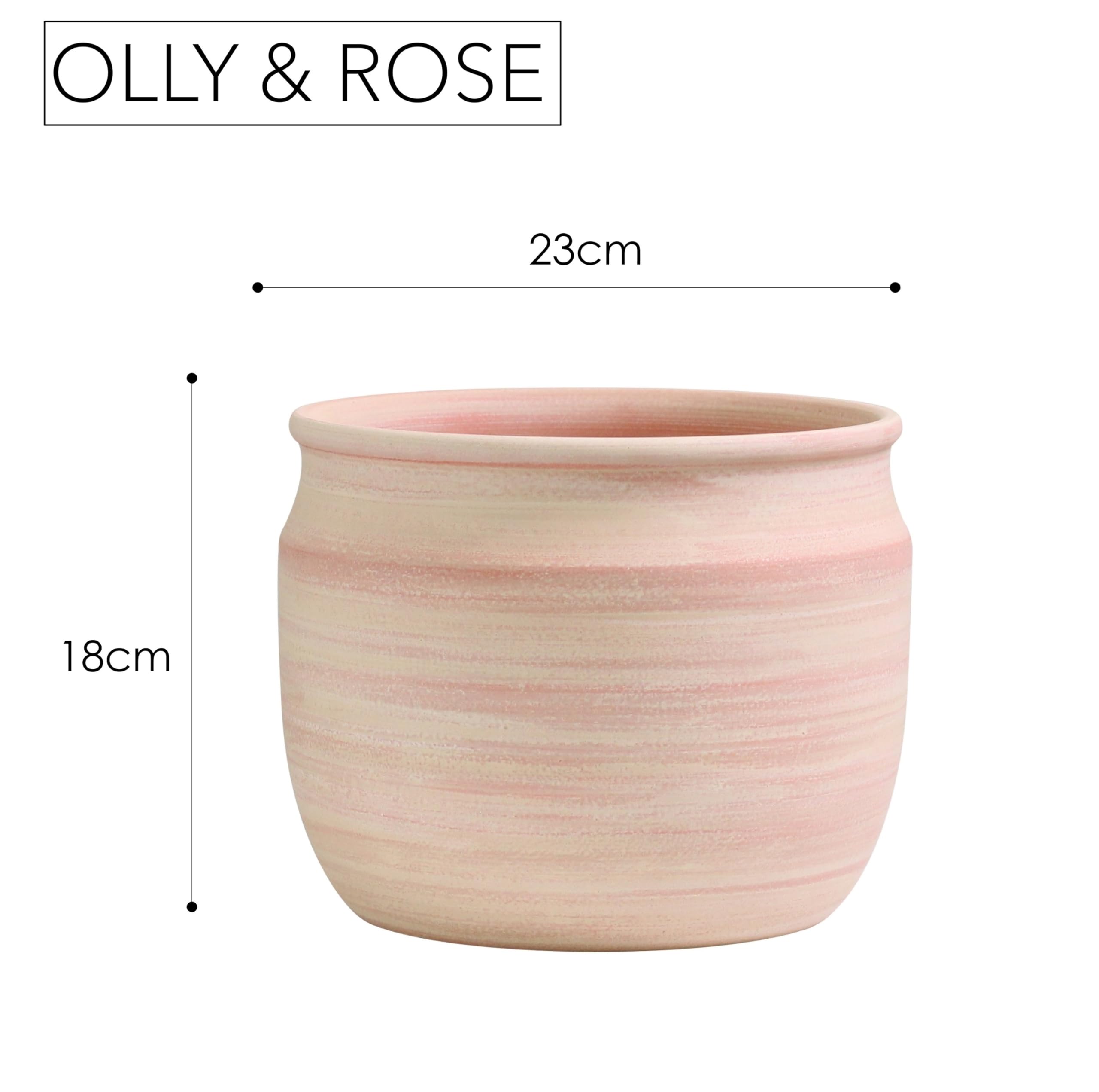 Olly & Rose Maceta grande de terracota cepillada, maceta de cerámica de 23 cm, maceta para exteriores e interiores, para el hogar y el jardín