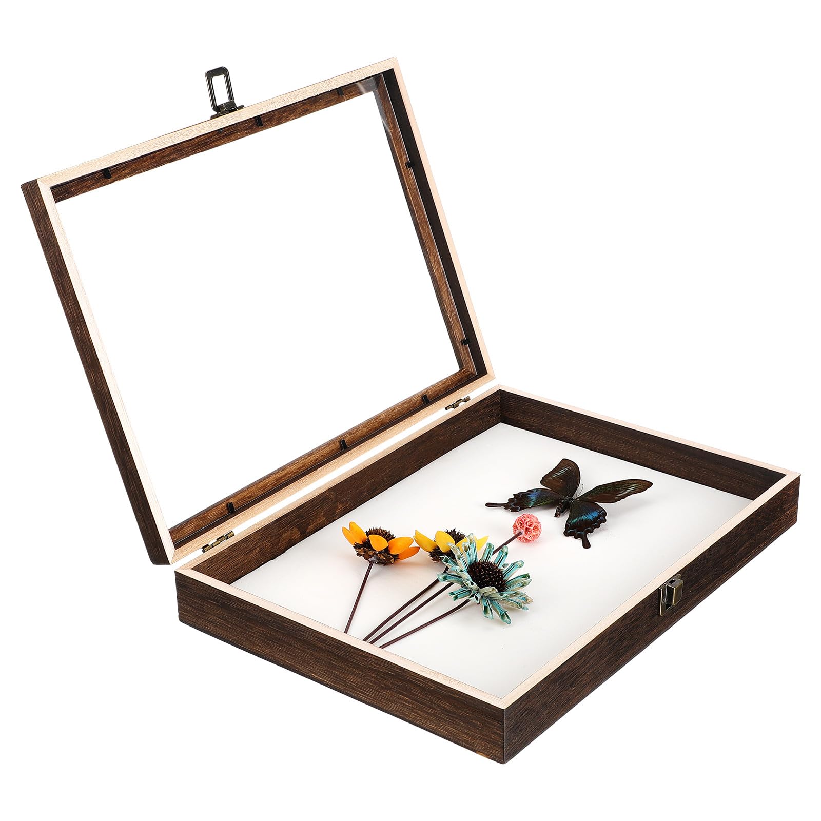 Rangement Style Vintage en Bois de Paulownia 36,5x26x5,5 cm Couvercle Acrylique