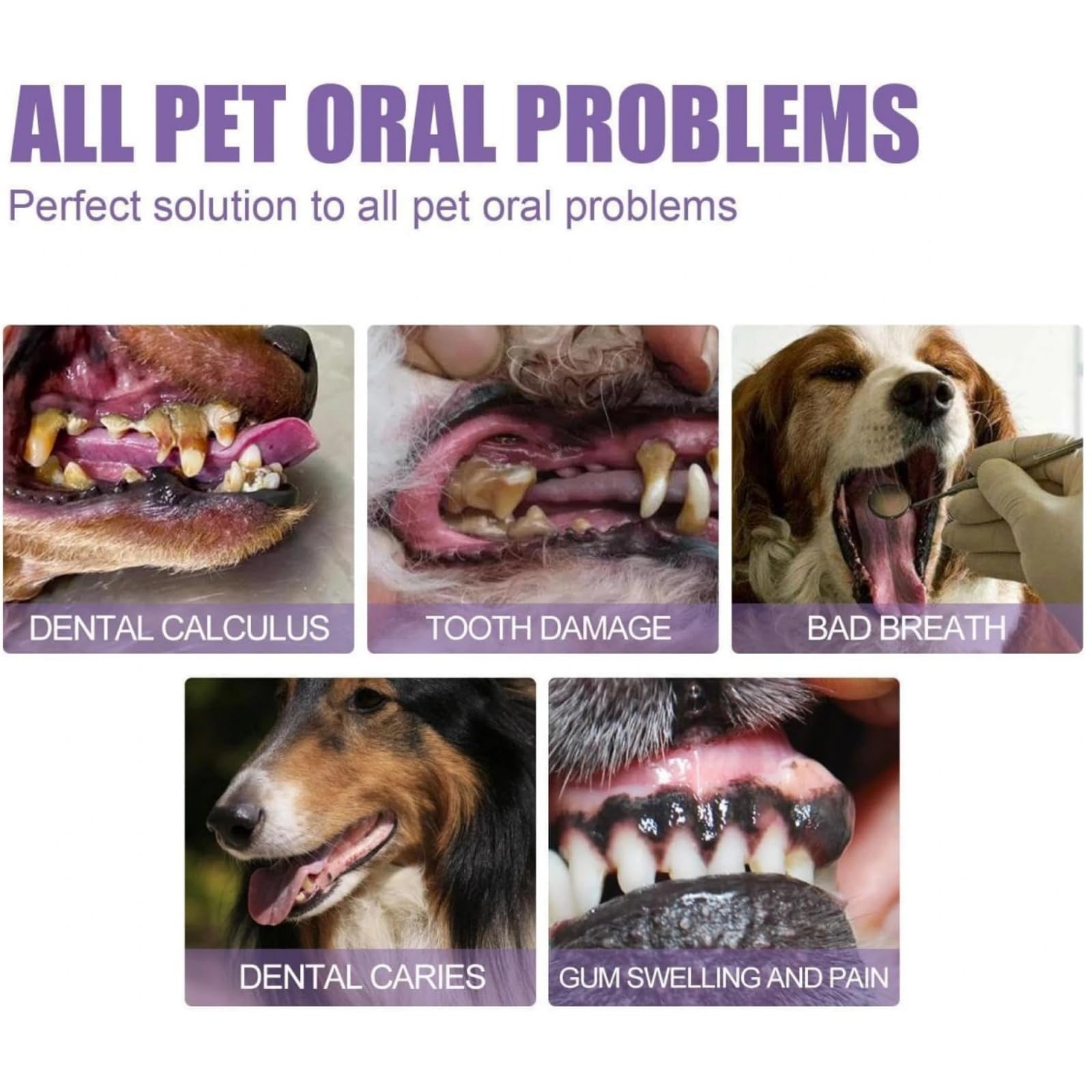 4PCS Pet Toothbrush Pen,Pet Oral Repair Gel Pen,Dog Tooth Cleaner,Dog Teeth Cleaning,Dogs Toothpaste for Tartar Removal,Dogs Teeth & Gums Health - Image 3