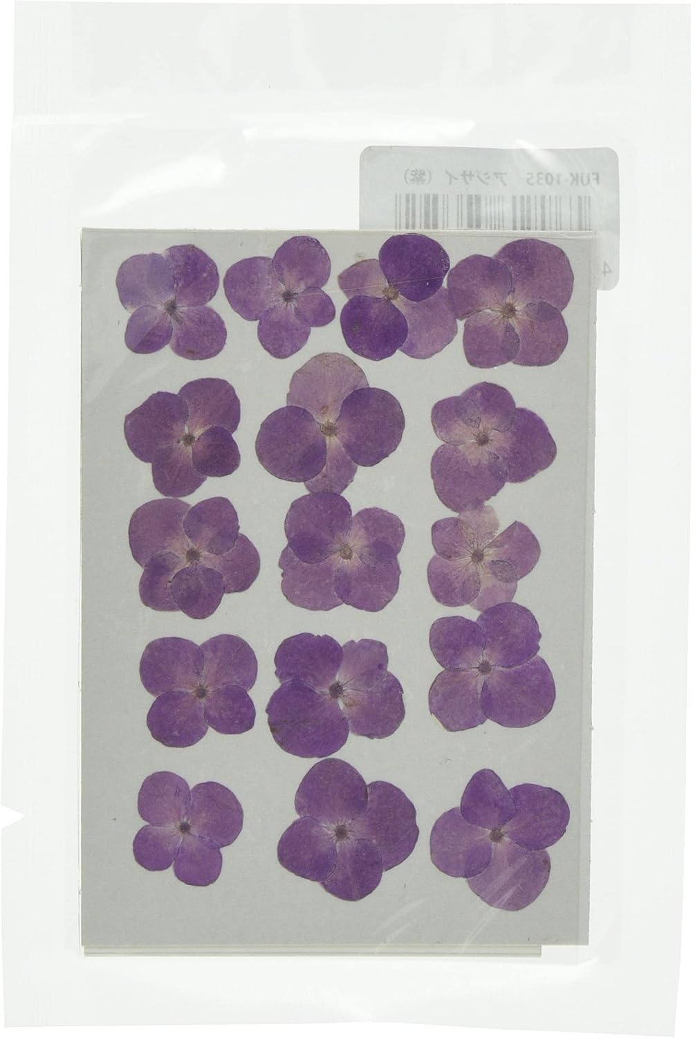 Fuchsan FUK-1035 Pressed Flower Pack, Hydrangea, Purple