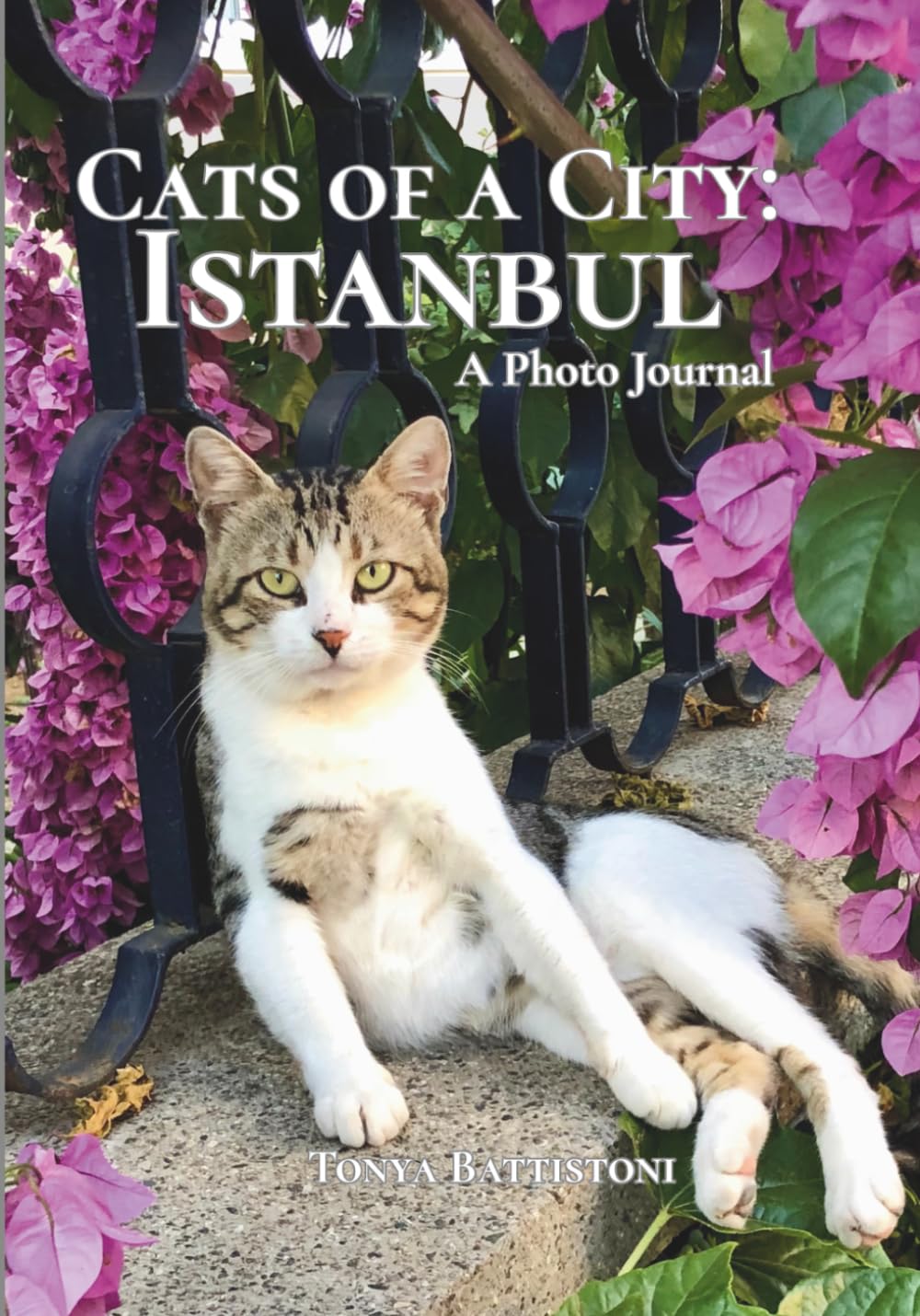 Cats of a City: Istanbul