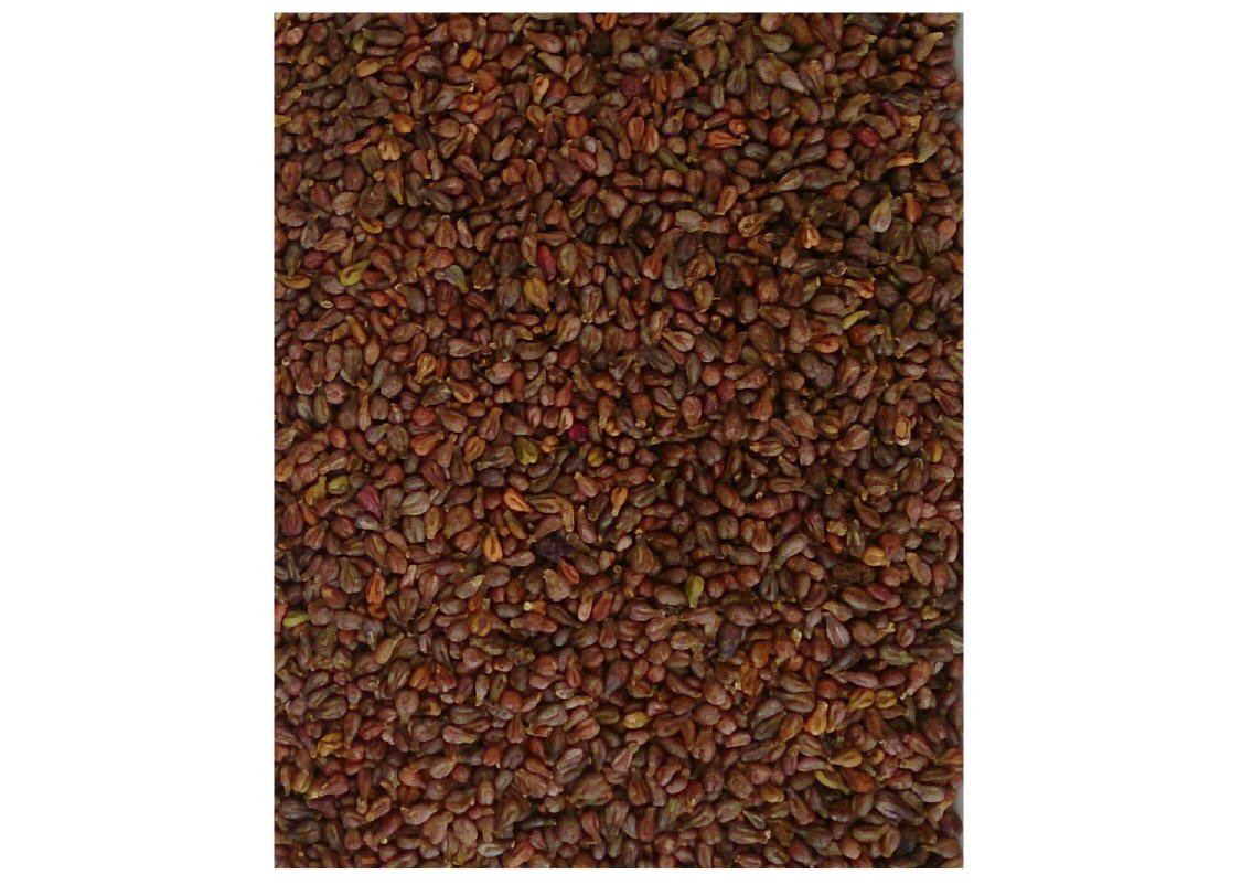 Grape Seed Refill Pack 1 kg