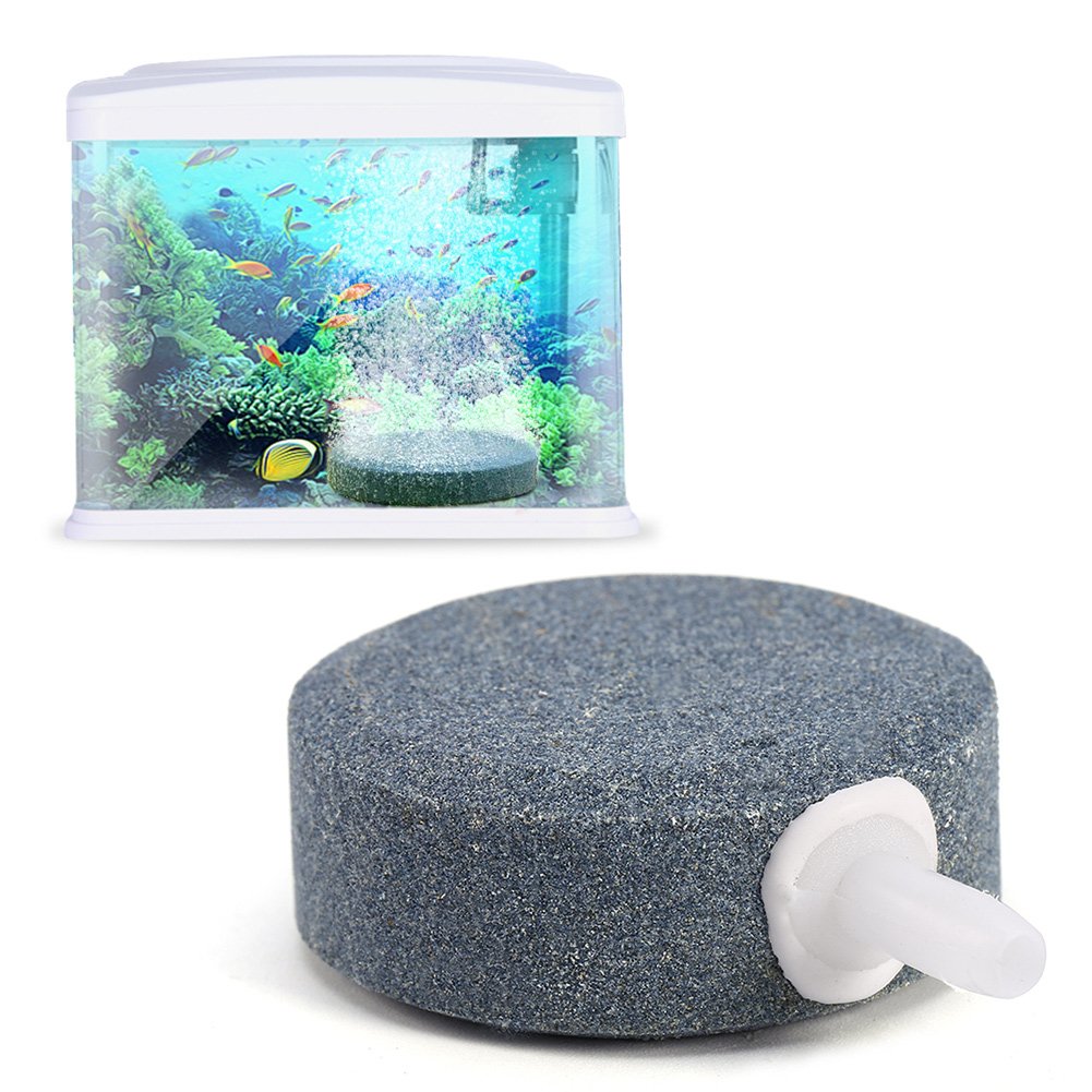 Amazon | 水族館 空気石 いぶきエアーストーン 丸形 直径6cm/8cm/10cm