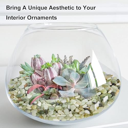 Miniatura 3 de GASPRO Piedras decorativas de 10 libras para plantas de interior, rocas decorativas de 38 pulgadas para bambú, jarrón, suculentas, jardín,