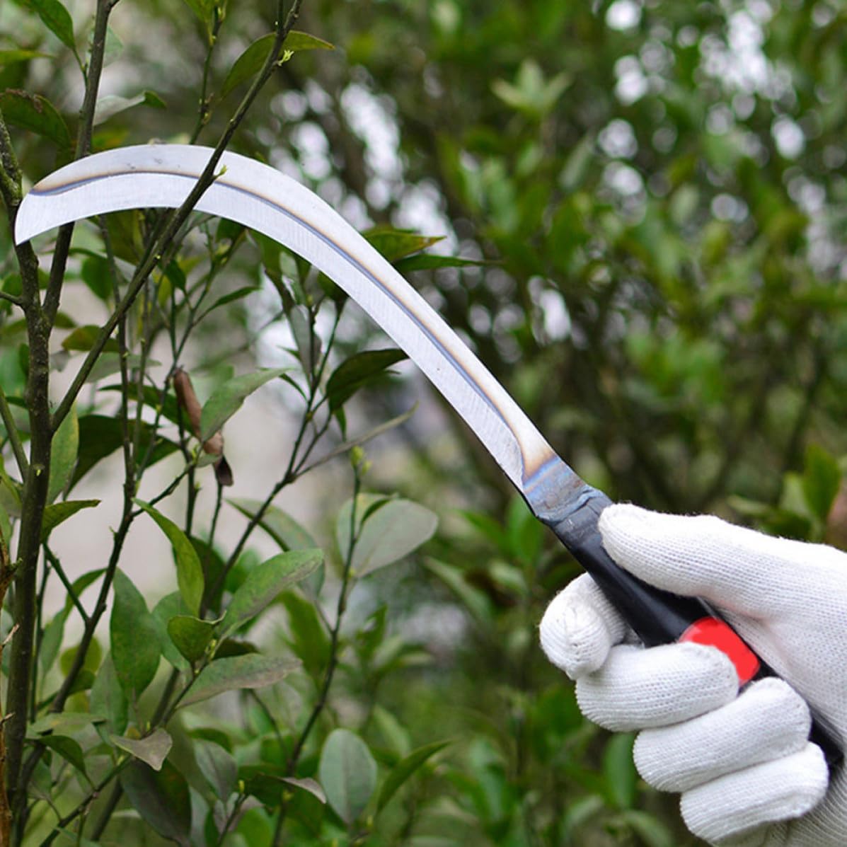 Reaping Hook Sharp Manganese Steel 2pcs for Gardening and Agriculture image 5