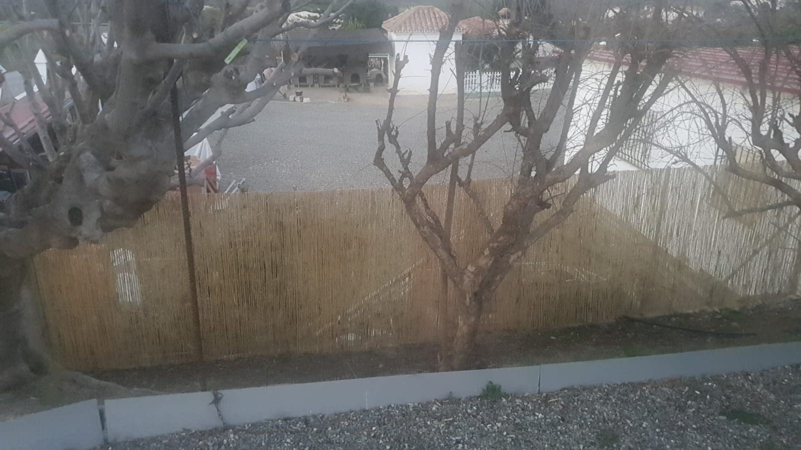 Suinga Suinga Cañizo Partido 2 x 15 metros | Cañizo Natural de Caña Partida para Vallado | Valla Caña Partida | Media caña cerramiento