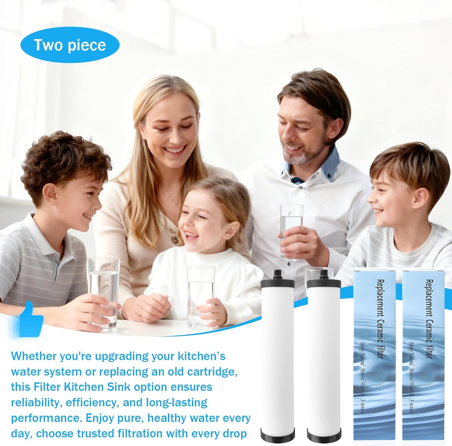FRC06 Filter Cartridge, Ceramic Water Filter for Franke FRCNSTR Models FRCNSTR100、FRCNSTR-DUO-1、FRCNSTR-DUO-2 Filter Kitchen Sink - 2 PCS