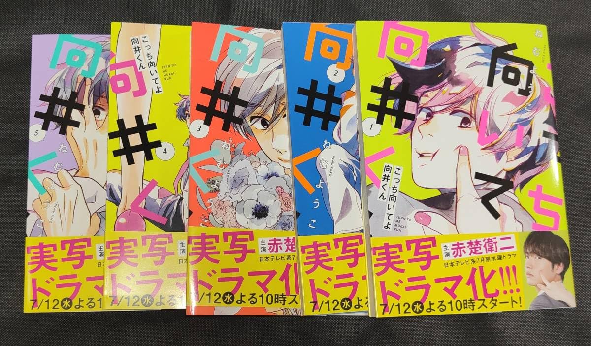 こっち向いてよ向井くん DVD-BOX〈6枚組〉　　新品未開封 こっち向いてよ向井くん DVD-BOX〈6枚組〉 新品未開封 新品未