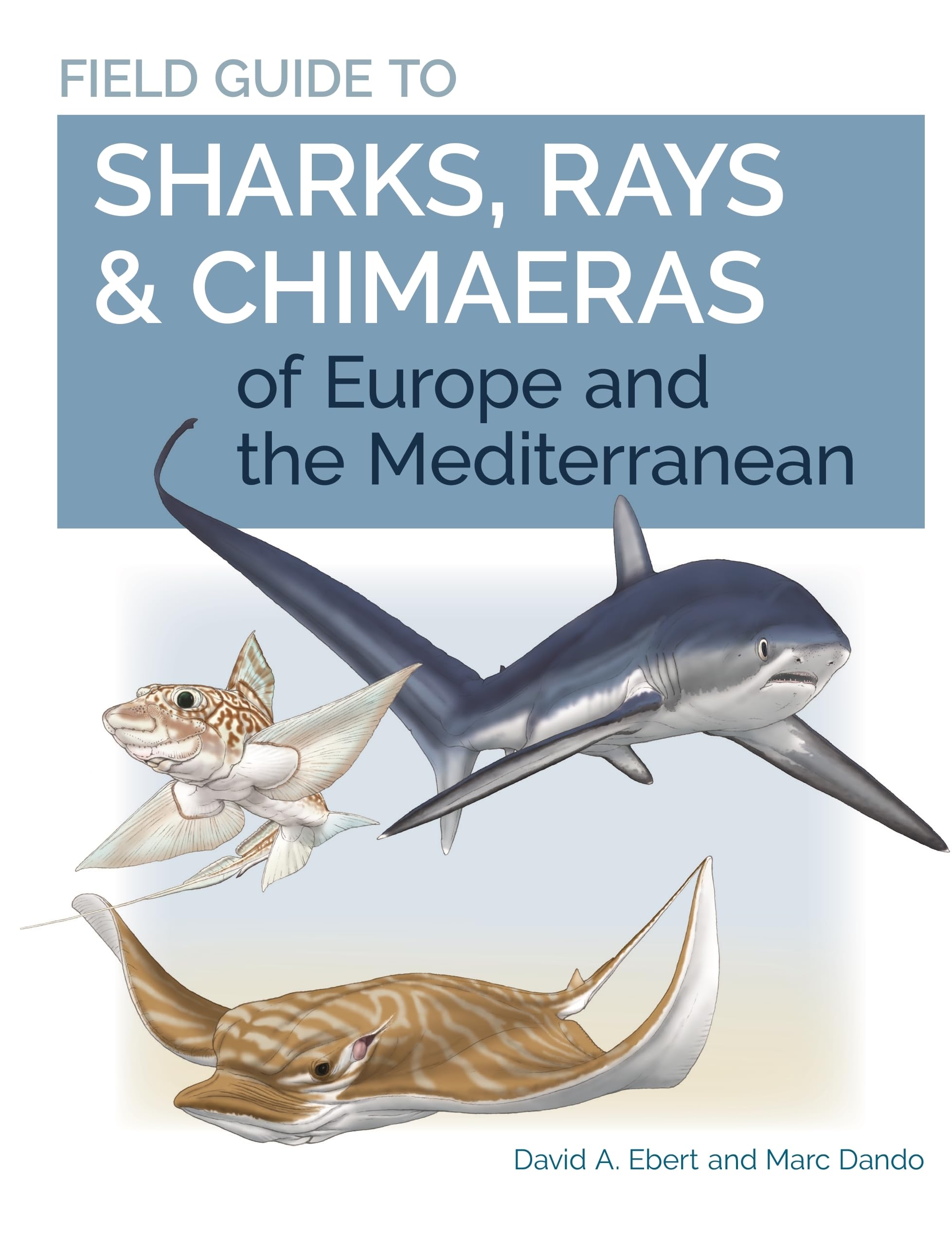 Field Guide to Sharks, Rays & Chimaeras of Europe and the Mediterranean (Wild Nature Press): 20