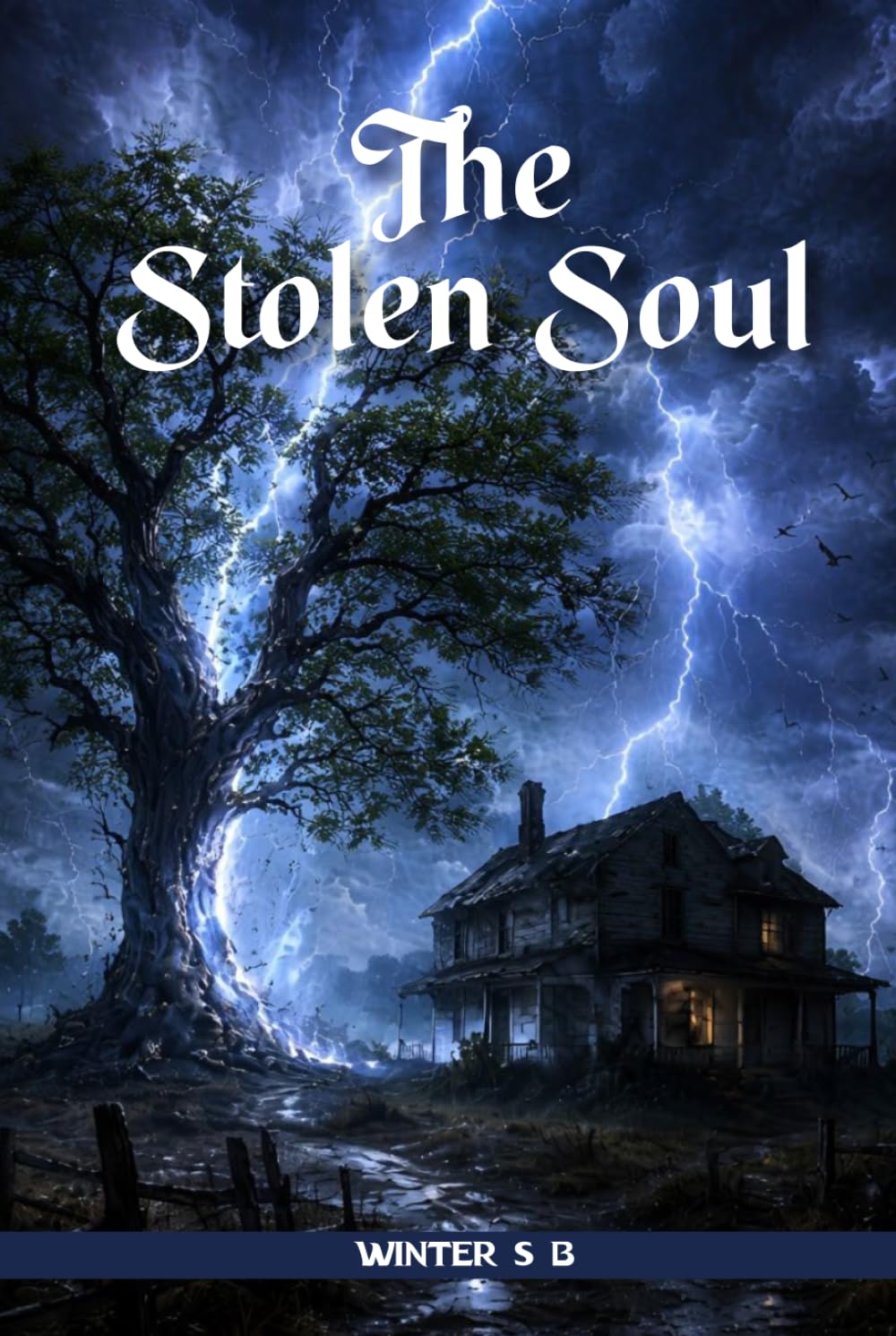 The Stolen Soul