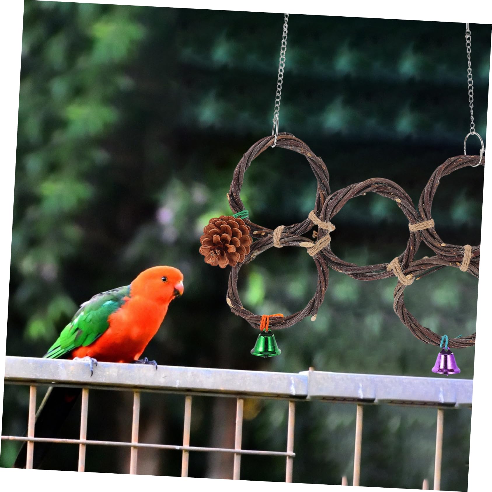 ifundom 1Pc Hanging Parrot Bird Cage Chew Ring for Parakeets and Birds Promotes Play and for Cage and Branch Use